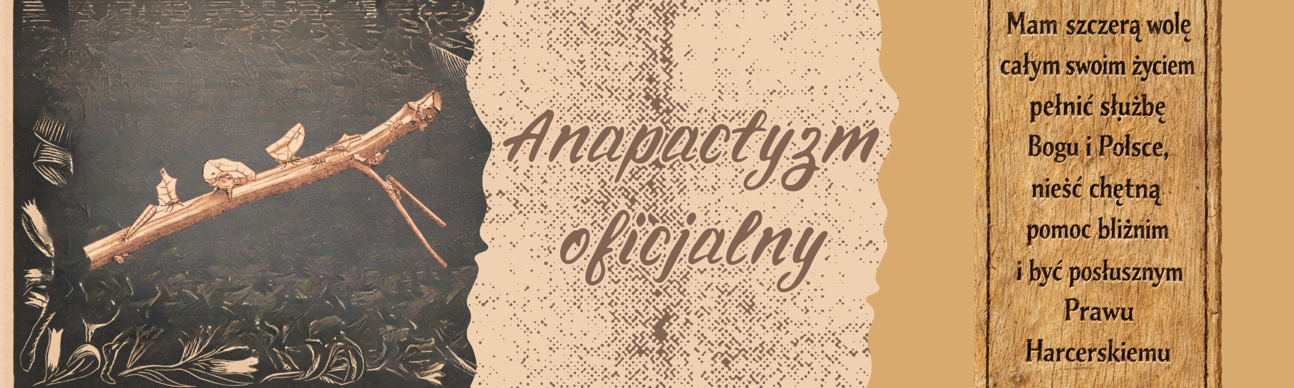 Anapactyzm Oficjalny – baner artykułu